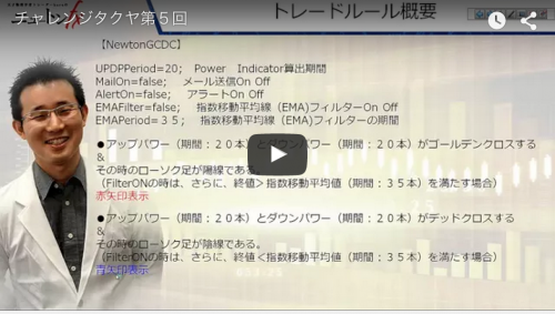 ニュートンFXロジック公開動画