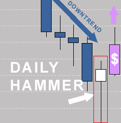 dailyhammer