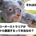 ハイローオーストラリア日本撤退のウワサの真相に迫る！