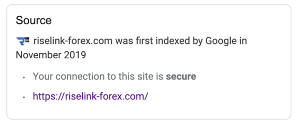 GoogleでRiselink FXを調査